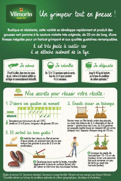 Légumes Secs - Haricot Grimpant Vert Montebello - 20 m - MEDIA_PACKAGING_VERSO